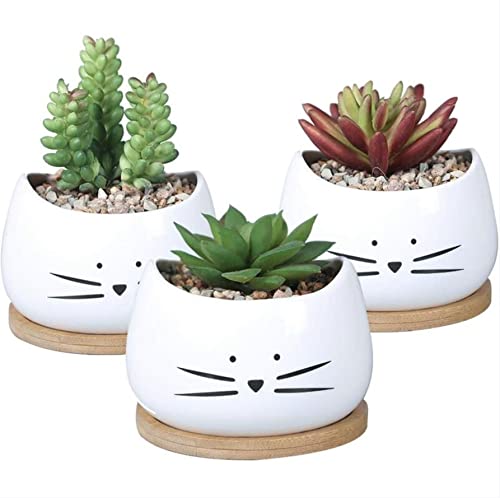 Set Di 3 Piccoli Vasi Da Fiori Con Simpatico Disegno Di Gatto | Vaso Per Cactus | Fioriera Per Balcone | Regalo Originale, Compleanno | Decorazione Pe