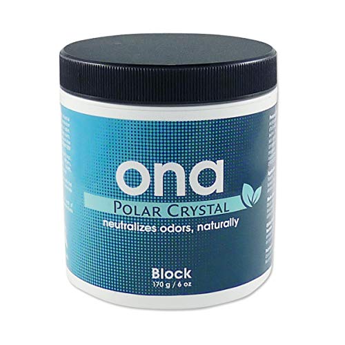 Ona Block Polar Crystal Elimina Odori 170Gr
