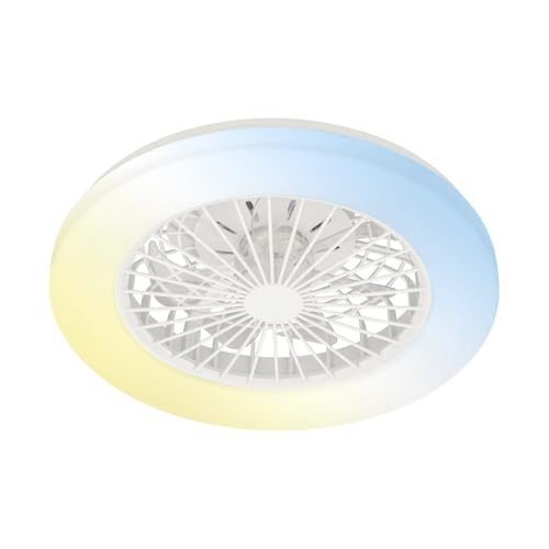 Briloner - Plafoniera Con Ventilatore A 5 Velocità, Telecomando, Dimmerabile, Lampada Per Camera Da Letto, Lampada Per Soggiorno, Lampada Da Soffitto 
