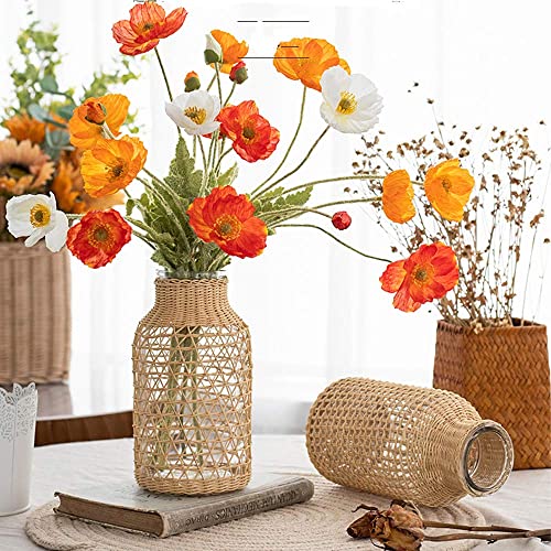 Tiamu Vasi Di Fiori Per Orchidee Tulipani, Decorativi Vaso Per Piante Acquatiche In Vetro, Vaso Da Fiori Nordico Per Tavolo, Vetro Paglia Giapponese V