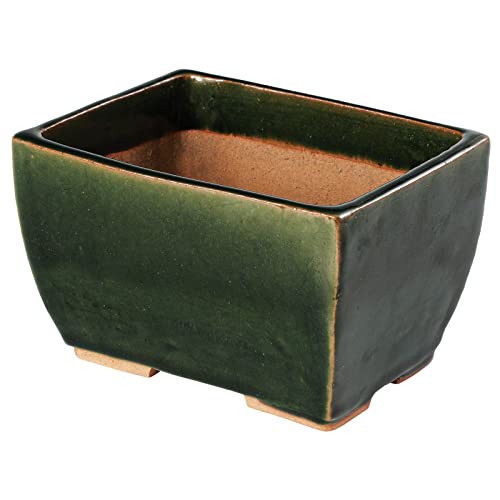 Wazakura Vaso Tokoname Per Bonsai 13.5 Cm Piccolo Rettangolare Smaltato Verde Con Fori Di Drenaggio, Realizzato In Giappone, Vasi Per Piante In Cerami