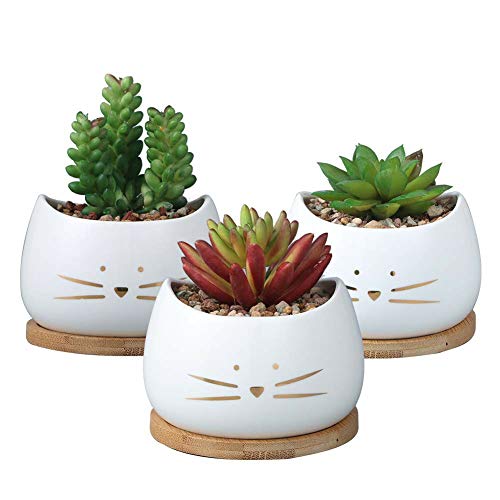 Set Di 3 Piccoli Vasi Da Fiori Con Simpatico Disegno Di Gatto | Vaso Per Cactus | Fioriera Per Balcone | Regalo Originale, Compleanno | Decorazione Pe