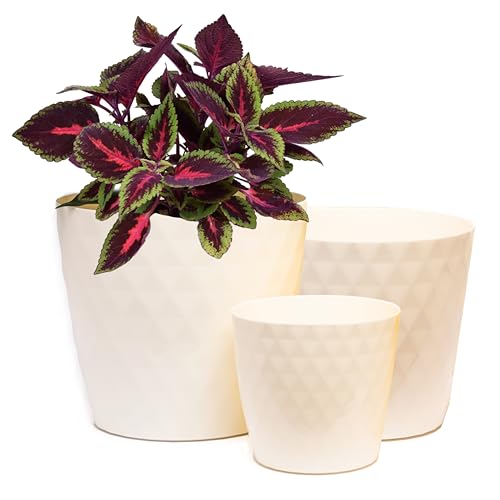 Home Garden Ornaments Vaso Per Piante Da Interno Ecru Set Di 3 Misure 14/16/18 Cm - Vaso Da Esterno Con Superficie In Cristallo Lucido - Vasi Per Pian