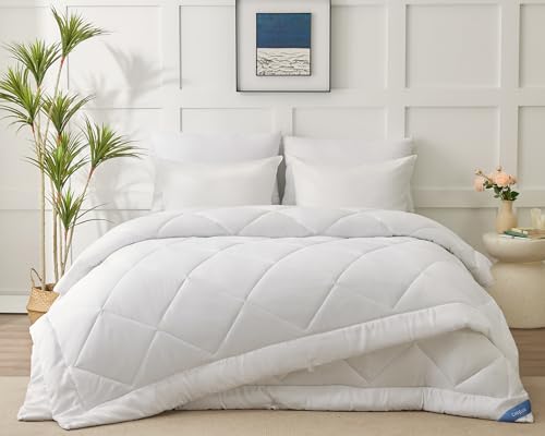 Cozylux Piumino Letto Matrimoniale 4 Stagioni 220X240 Cm Microfibra, Set Piumino Estivo 150Gsm 240X220 + Piumino Primaverile/Autunnale 300Gsm 220 X 24