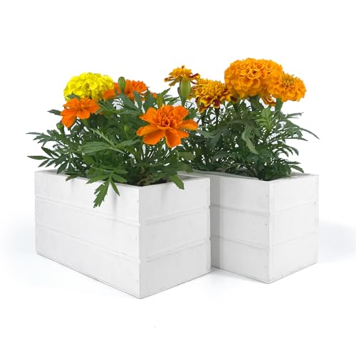 Vimin Box Set 2 Fioriere In Legno Bianco | Rettangolari 20X10X10 Cm | Vasi, Portavasi Da Interno Ed Esterno Con Inserto In Nylon | Fioriera Da Balcone