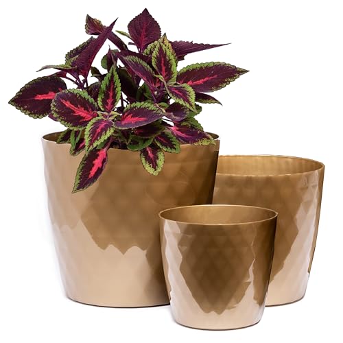 Home Garden Ornaments Vaso Per Piante Da Interno Dorato Set Di 3 Misure 14/16/18 Cm - Vaso Da Esterno Con Superficie In Cristallo Lucido - Vasi Per Pi