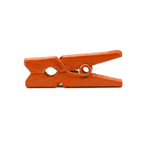 Lwr Crafts Mini Mollette In Legno 15 Colori 100 Per Confezione 1 "2,5 Cm (Arancione)