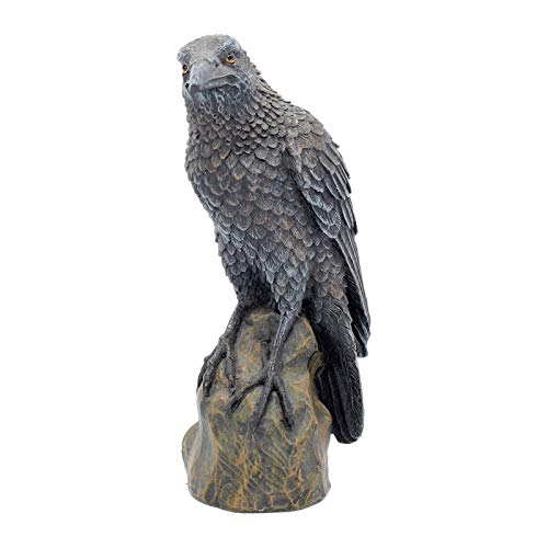 Nemesis Now Ravens Rest, Statuetta, 20 Cm, Colore: Nero