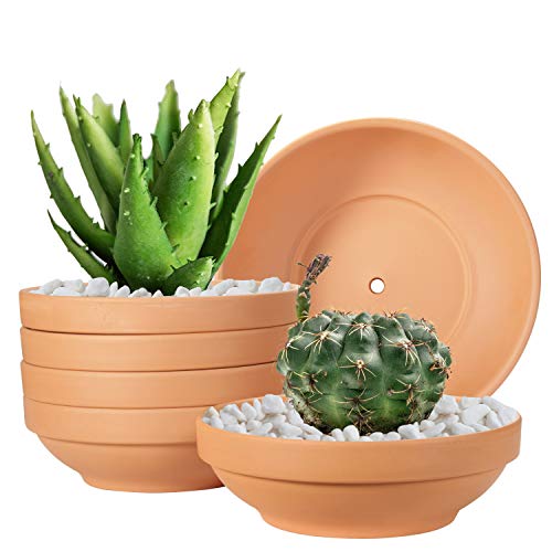 Terra Cotta Vasi Laergin In Terracotta Poco Profonda Da 16,43 Cm, Con Foro Di Drenaggio, Vasi In Ceramica Per Piante Da Interno Ed Esterno (Confezione