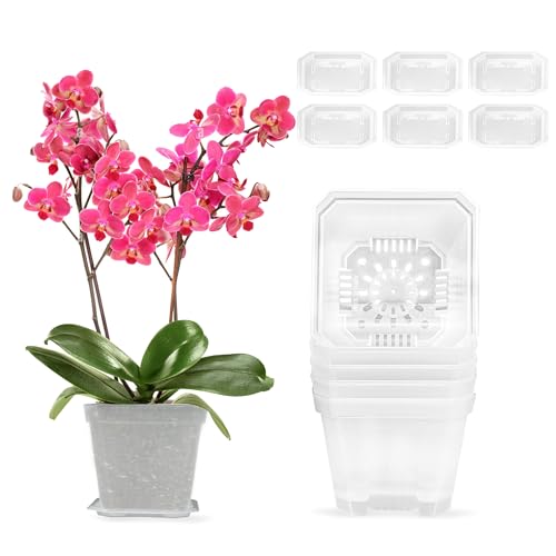 Duozoanz Vaso Orchidea Trasparente 6 Pieza Vasi Per Orchidee Trasparenti 10Cm Vaso Per Orchidee Trasparente Con Fori Drenaggio E Sottovaso Per Interno