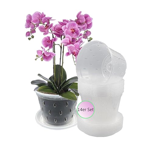 Garten Lux Set Di 14 Vasi Per Orchidee Trasparenti Con Foro Per Drenaggio, Diametro 14 Cm, 1 L E 14 Sottobicchieri, In Plastica, Per Orchidee, Per Int