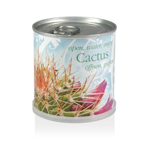 Extragifts Fiori In Lattina – Cactus – Cactus