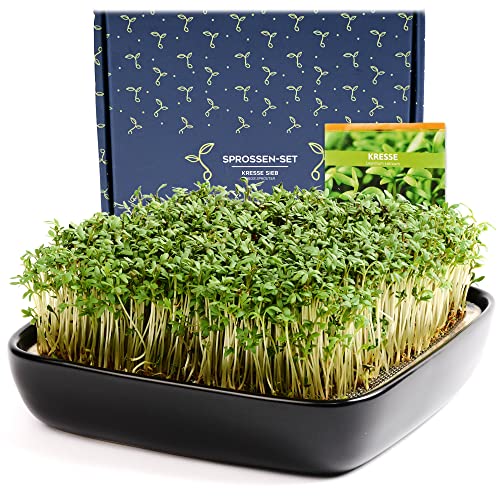 Otaro Germogliatore Con Semi Di Crescione (Nero) - Pronto All’Uso - Elegante Germogliatore Per Semi Alimentari - Perfetto Come Idea Regalo