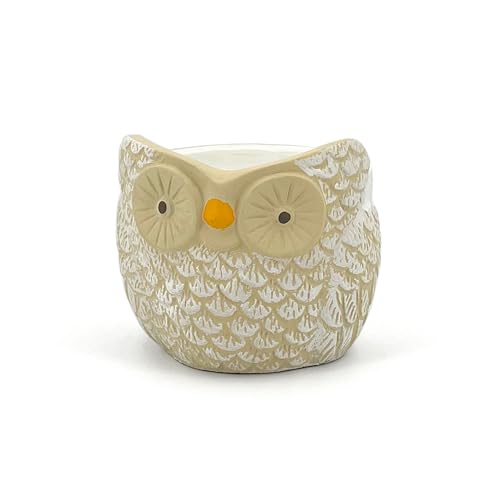 Vaso Terracotta Gufo Decorato A Mano | Diametro 12Cm | Vaso Per Piante Grasse E Fiori | Vaso Per Orchidee | Decorazione Casa Interni Ed Esterni