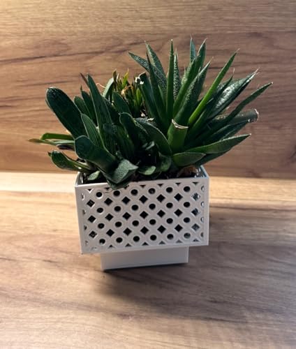 Kimmel Set Di 2 Vasi Rettangolari Per Orchidee, 13 Cm, Colore Bianco
