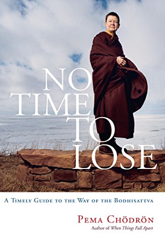 No Time To Lose: A Timely Guide To The Way Of The Bodhisattva (English Edition)