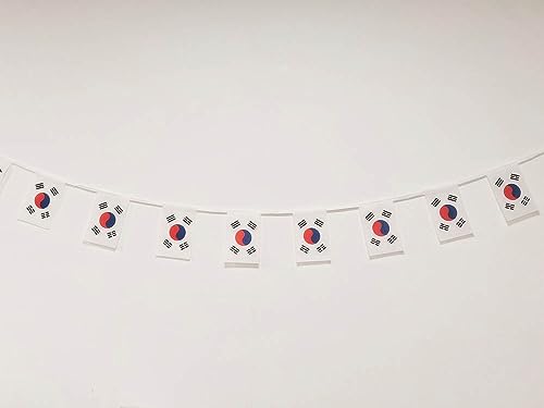 Pandiui23 Ghirlanda Di Corea Del Sud, 40 Pezzi, 11,4 M, Bandiere Rettangolari Bianche In Poliestere, 14 X 21 Cm
