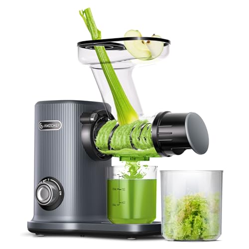 Amzchef Estrattore Compatto Con Due Modalità Di Alimentazione Per Utilizzo Facile - 150W Estrattore Frutta E Verdura Con Protezione Al Surriscaldament