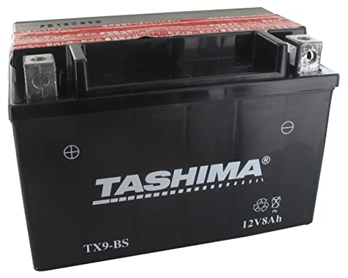 Greenstar 11541 Batteria Agm Ytz10S