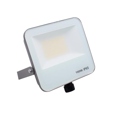 Faro Proiettore A Led 220V 100W Ip65 Da Esterno Luce Switch 3000K-4200K-6400K