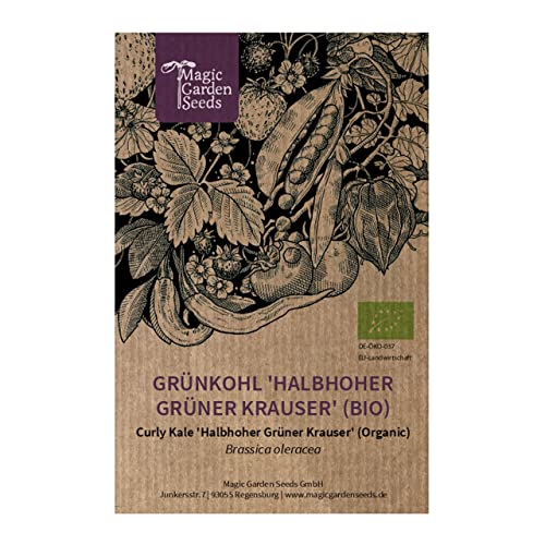 Cavolo Riccio 'Halbhoher Grüner Krauser' (Brassica Oleracea) Biologico - Circa 100 Semi