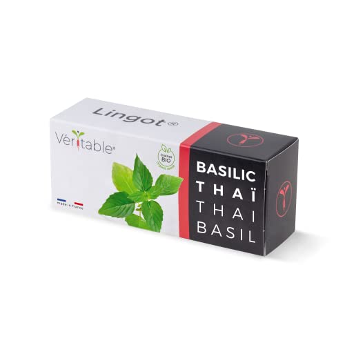 Lingot® Basilico Thaï Bio - Compatibile Con Orti Interni Véritable® Ed Exky® - Ricarica Pronta All'Uso - Substrato Con Semi Integrati