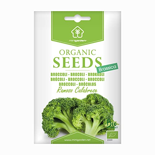 Broccoli "Ramoso Calabrese", Semi Biologici Certificati Minigarden, Include Tra 350 E 300 Semi