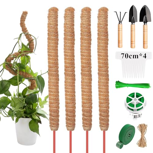 Tegove 4 Pezzi 70Cm Bastone Di Muschio,Bastone Per Piante Rampicanti,Palo Cocco Piante Sostegno Piante Supporti Per Sostegno Piante Rampicanti Da Inte