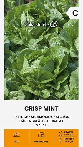 Zalia Stotele | Lattuga - Semi Crisp Mint | Semi Di Ortaggi | Semi Di Piante | Viene Coltivata Dalla Primavera All'Autunno, Lattuga Romana Della Varie