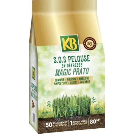 Kb Rinnova Prato Magic Prato