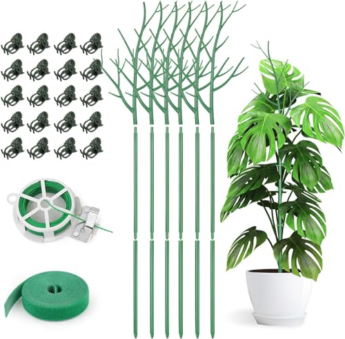 Kaheign 6 Pezzi Staccabili Pali Di Supporto Per Piante Ramoscelli, 100Cm Bastoncini Di Piante Di Ramo Pali Rampicanti Per Piante Con Clip Di Orchidee