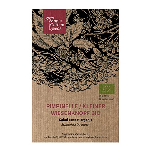 Pimpinella Minore (Sanguisorba Minor) Biologica - Circa 40 Semi