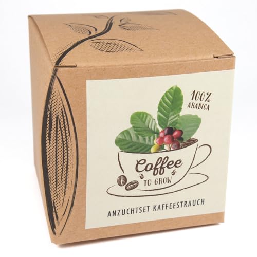 Set Per La Coltivazione Regalo Del Caffè Arabica "Coffee-To-Grow"