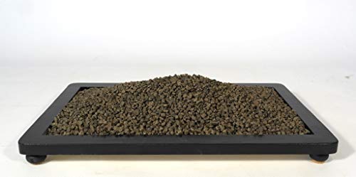 Concime Organico Prodigy Plus 6 Kg.
