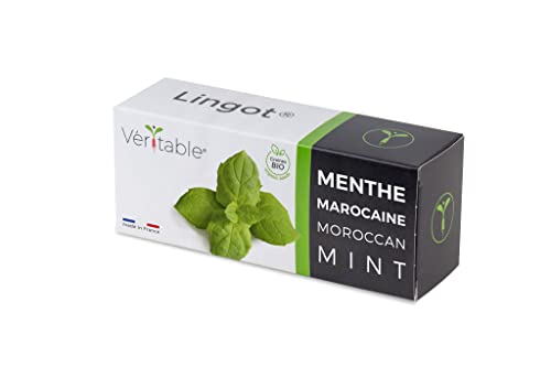 Lingot® Menta Marocchina Bio - Compatibile Con Orto Da Interni Autentico® Ed Exky® - Ricarica Pronta All'Uso - Substrato Con Semi Integrati..