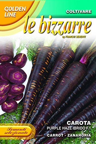 Semi Di Carota Viola Purple Haze Ibrido F1 - Franchi Sementi -Sementi Selezionate Glbz 23/46 Bustina Gr 0,3