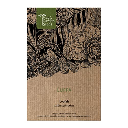 Luffa (Luffa Cylindrica) - Circa 5 Semi