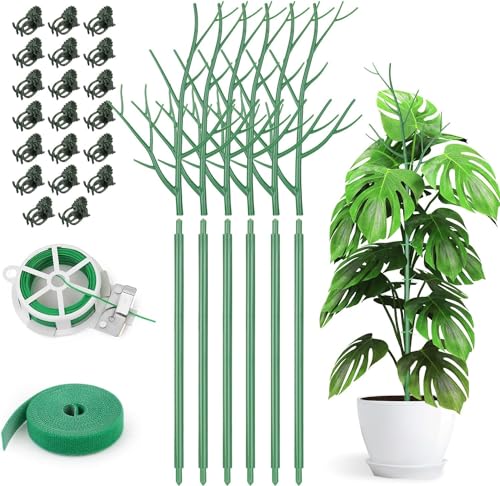 Kaheign 6 Pezzi Staccabili Pali Di Supporto Per Piante Ramoscelli, 70Cm Bastoncini Di Piante Di Ramo Pali Rampicanti Per Piante Con Clip Di Orchidee C