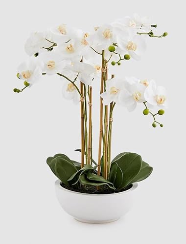 Edg Enzo De Gasperi Edg Enzo De Gasperi Orchidea Phalaenopsis Pianta X6 Con Vaso Artificiale H 64 Cm White