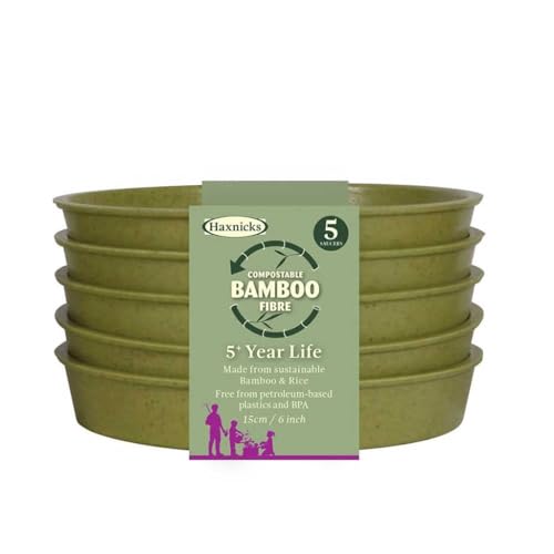 Haxnicks Pot140101 - Sottovaso Per Piante In Fibra Di Bambù Sostenibile, Diametro 15,2 Cm, Confezione Da 5, Colore: Verde Salvia, Confezione Da 5