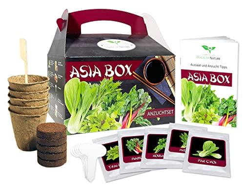 Asia Box - Set Per La Coltivazione - Semi Di 5 Erbe Aromatiche E Verdure Per La Cucina Asiatica - Da Coltivare Da Soli O Come Regalo