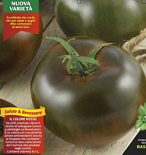 3 Piante In Vaso Ø10Cm Di Pomodoro Nero Di Crimea Kakao Ortomio Orto