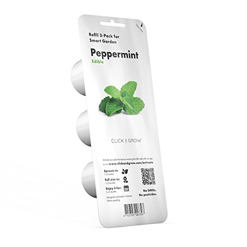 Click & Grow, Ricambio Vasi Di Terriccio Di Menta Piperita, Confezione Con 3 Capsule