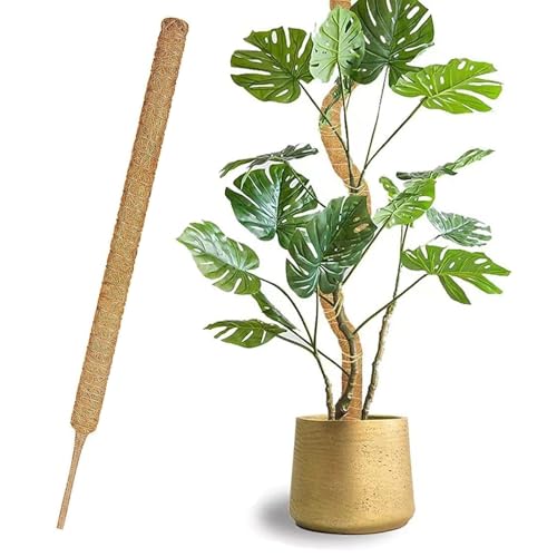 1 Pezzi 70Cm*4Cm Sostegno Per Piante Rampicanti Interno,Supporto Piante Rampicanti,Tutore Per Piante Allungabili, Per Casa Giardino