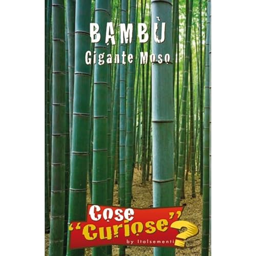 Bambu' Gigante Moso (Phyllostachys Edulis) - Semi
