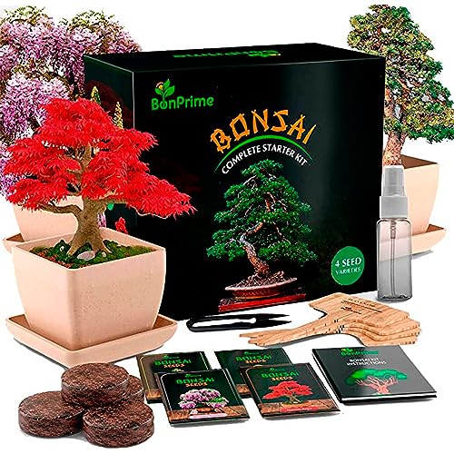 Bonprime Bonsai Kit Avvio - Set Per Principianti - 4 Tipi Di Alberi, 4 Vasi In Bambù, 4 Pellet Di Torba, 4 Marcatori Per Piante, Pinze E Spray Per L'A