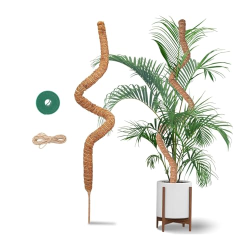 120 Cm Palo Di Muschio - Sostegno Supporto Per Piante In Fibra Di Cocco - Bastone Per Piante Rampicanti Con Corda Di Iuta E Chiusura A Strappo - Adatt