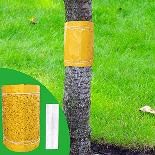 Panngu Albero Da Frutto Anello Adesivo Autoadesivo 25Cmx10 Metri, Bruco Formica Prugna Anello Adesivo Protettivo, Albero Da Frutto, Ciliegio