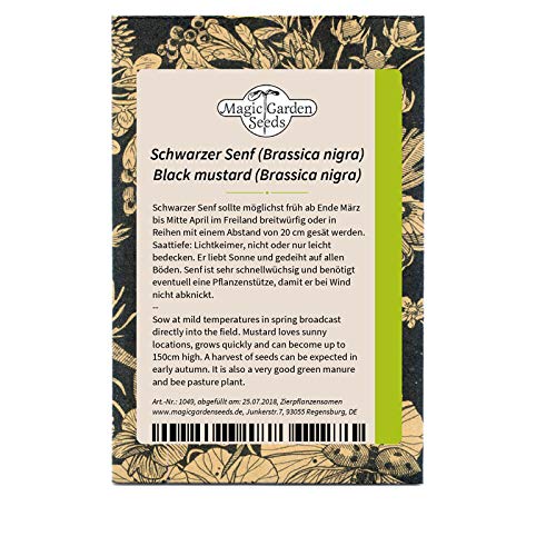Senape Nera (Brassica Nigra) - Circa 200 Semi