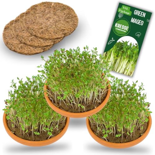 Green Mageo Kresse - Set Di 3 Ciotole Per Crescione, Con Confezione Maxi, Semi Di Crescione, Tappetini Di Iuta, Ideale Per La Coltivazione E Come Set